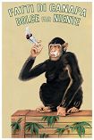 Fatti / Chimp With Joint Poster 1192