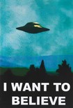 I Want to Believe / Flying Saucer Poster 1317 