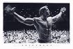 Arnold Schwarzenegger / Mr Olympia Poster 1353