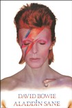 OUT OF STOCK / David Bowie / Aladdin Sane Poster 1433