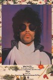 Prince - When Doves Cry Poster 5192