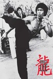 Bruce Lee - High Kick Poster 1949
