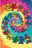 OUT OF STOCK / Grateful Dead / Bears Spiral Poster 1974