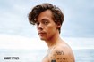 Harry Styles - Beach Poster 2019