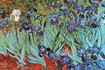 Vincent Van Gogh / Irises Poster 2064