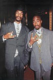 2 Pac & Snoop Dog / Suits Poster 5081