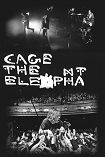 Cage The Elephant - 2 Pics Poster 5179