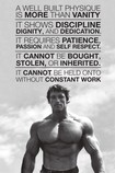 Arnold Schwarzenegger / Quote Poster 5225