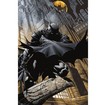 Batman / Nightstalker Poster 5243