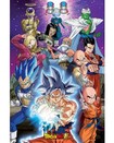Dragon Ball Z / Universe 7 Poster 5249