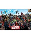 Marvel / Universe Poster 5266