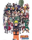 Naruto Shippuden / Group Poster 5277