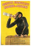 Anisetta / Chimp Poster AP609