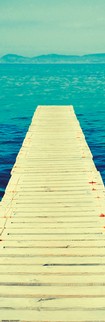 Dock / Tropical Poster SP0170
