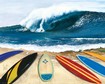Surf Boards & Surf Poster SXT028 (Flat Only)